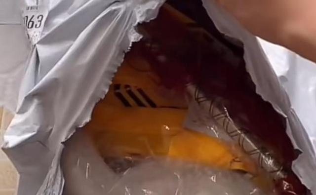 浴火dnf公益服发布网(全新版本上线,尽情畅玩游戏) 浴火dnf公益服发布网(全新版本上线,尽情畅玩游戏)